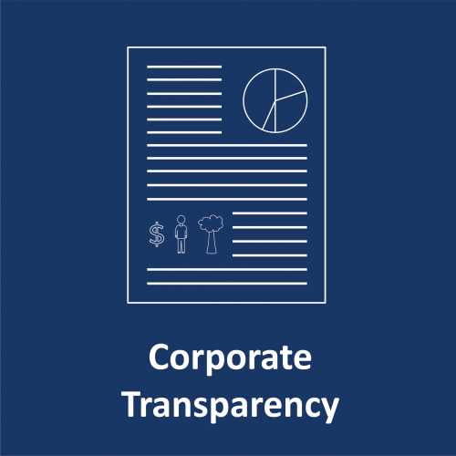 abdc-website-icons-for-impact-research-blue_corporate-transparency-2